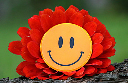 ��������� ����� ����� ����������� ���� ��� 