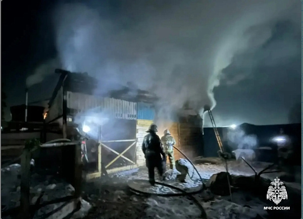 � ����-��� ������� ���