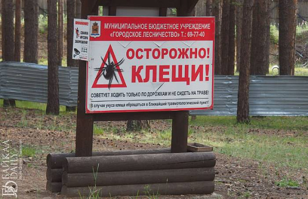 ����� �������� ��� ����� 50 ������� �������