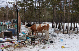 На Ольхоне бьют тревогу из-за стихийной свалки