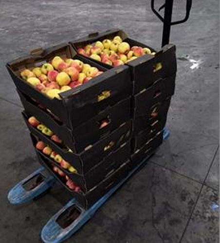 В Бурятии уничтожили 130 кг яблок неизвестного происхождения