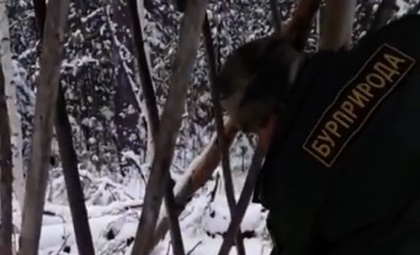 ������ ��������� �������� � ����������� � ������� 