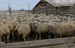 � ������� ��������� ������ ������ ����