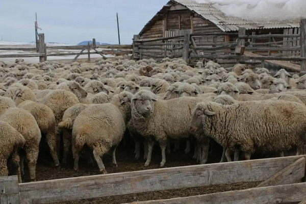 � ������� ��������� ������ ������ ����