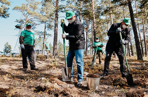 ������� ������� �������� ������� 