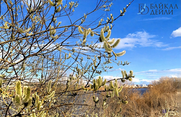 � ������� ��������� �� +20 �������� 