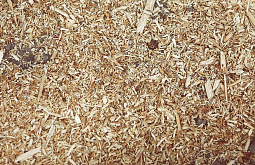 � ������� ����� ����������� ��������