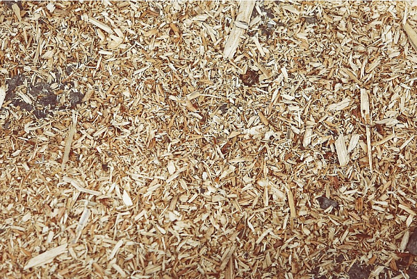 � ������� ����� ����������� ��������