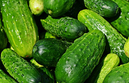 � ������� ������ ����� ������� �������� �� ����������� ������ 