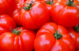 � ����-��� ���������� �������� � ���