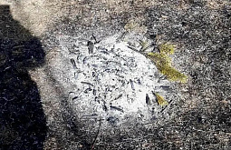 � ������� ����� ����� �������� �������� �����