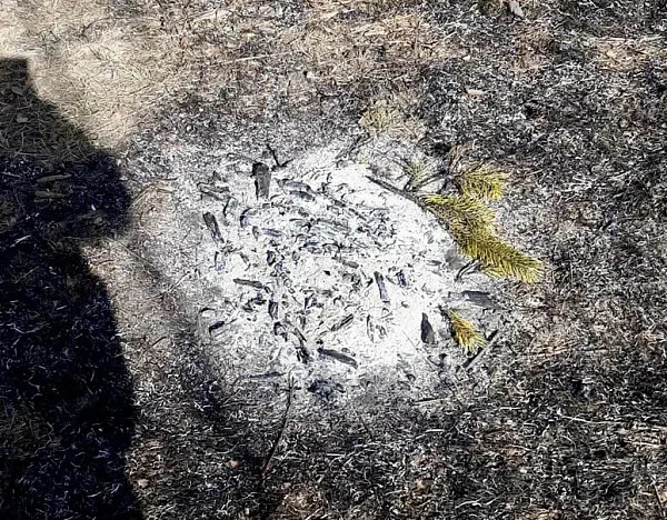 � ������� ����� ����� �������� �������� �����