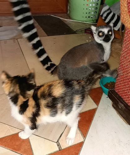 ����� ����� �� ��������� ���������� ���������� � ������