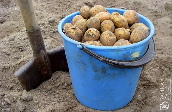 ��� � ����� ������ ������� �������� ������ ��-�� ��������