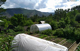 � ������� ���� �� ����� ������� ��� � ������ 