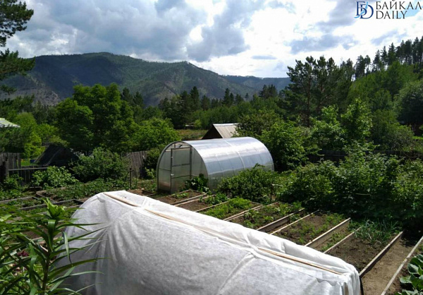 � ������� ���� �� ����� ������� ��� � ������ 