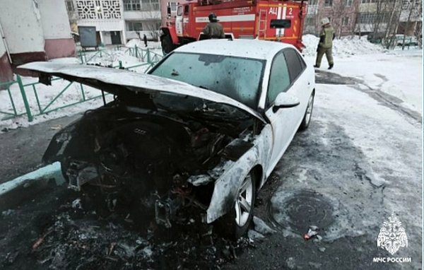 � ����-��� ����� ������ �������� ����������