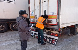 ����� ������� � �������� ������� ����� ���������