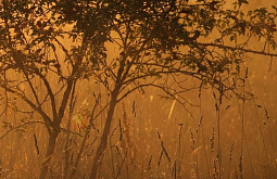 � ������� ������� �������� �������������� 