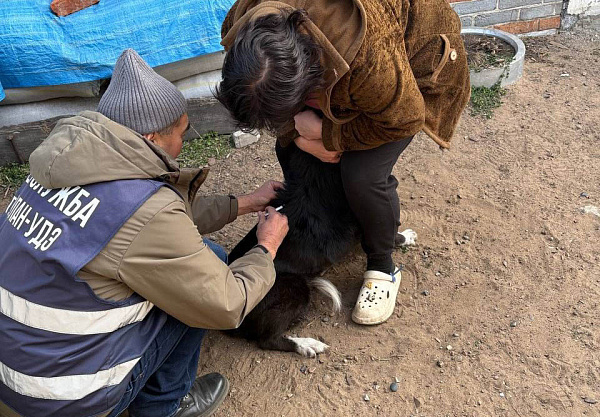 � ���� ������������ ����-��� ������ �������� �����