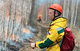 ��-�� ������������ ���������� � ���������� ���������� �������������� �������