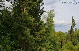 ��������� ����� � ������� ����� �������� ����������