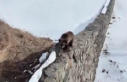 � ��������� ������� ��������, ������ ������ ��������� ����������