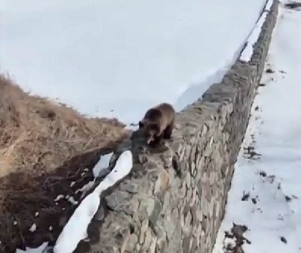 � ��������� ������� ��������, ������ ������ ��������� ����������