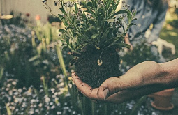 ������� ������� ��������� ��������� ������� 