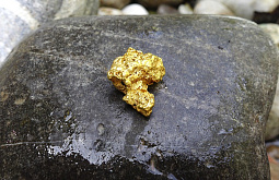 В Иркутской области поиски золота нанесли природе ущерб на 3,4 миллиарда