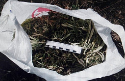 � ����-��� �������� ������ �� ������� ��������� � �������