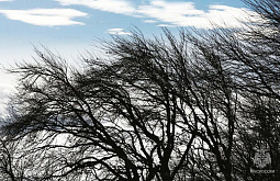 � ��������� ���� ���� � ���������� ����� -42