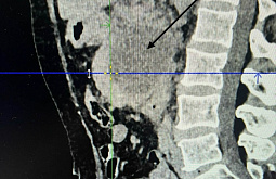 ����� ������� ��������� ���������� �������� �� �������������