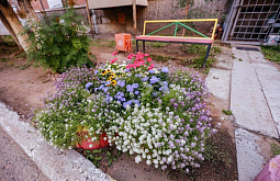 ��� ����-������ ���������� ���� � �������� �����  