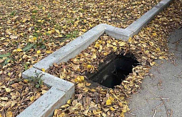 � �������� �������� 33 ������� �������� �����������