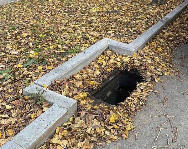 � �������� �������� 33 ������� �������� �����������