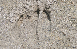 ����� ���������� � ������� ������ ����������� �����