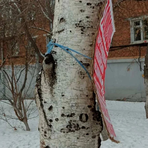 � ����-��� ������� ����� ���������� �������� 