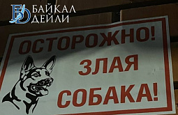� ����-��� ������� ����� � ����������� �������������