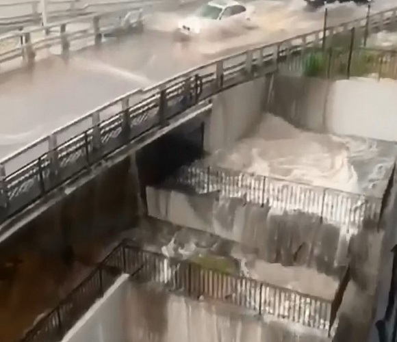 � ������ ����-��� ����� �������� ���������������� ��������