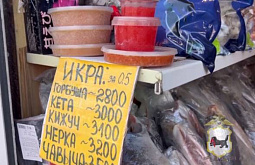 � �������� �� ����� ��������� ������ ������ 40 �� ������ ���������