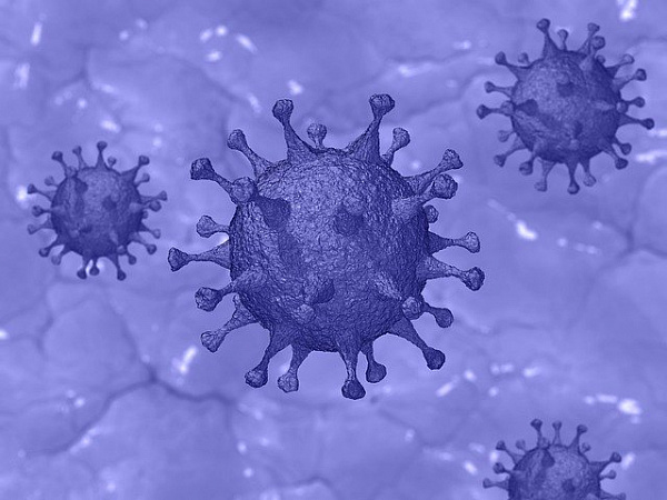 Число случаев заражения коронавирусом в Бурятии выросло до 73 