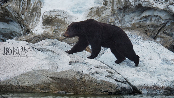 � ������� ������� ������� � ��������� ������� 