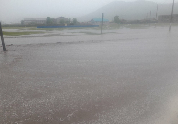 � ������� ��������� 50 �������� ����� ����� 