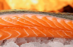 � ��������� ������� ������� ������ ����������� �����-������� ��������