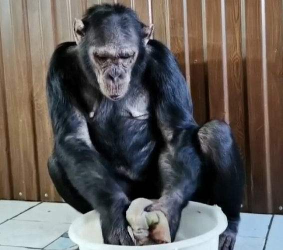 � ��������� ���������� ���������� ������� ��������� ���