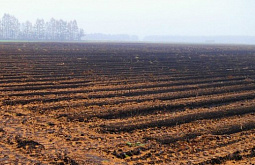 � ������� ��������� ������� ����������� �� ������������ ���������