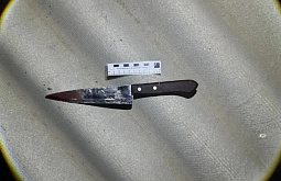 � ������ ������� ������� ������� � �������� �������� ���