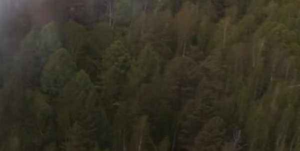 В Бурятии опробовали беспилотник для мониторинга леса 