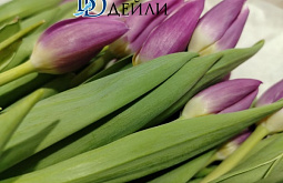 ����-������ ���������� ����������� ����� 8 �����